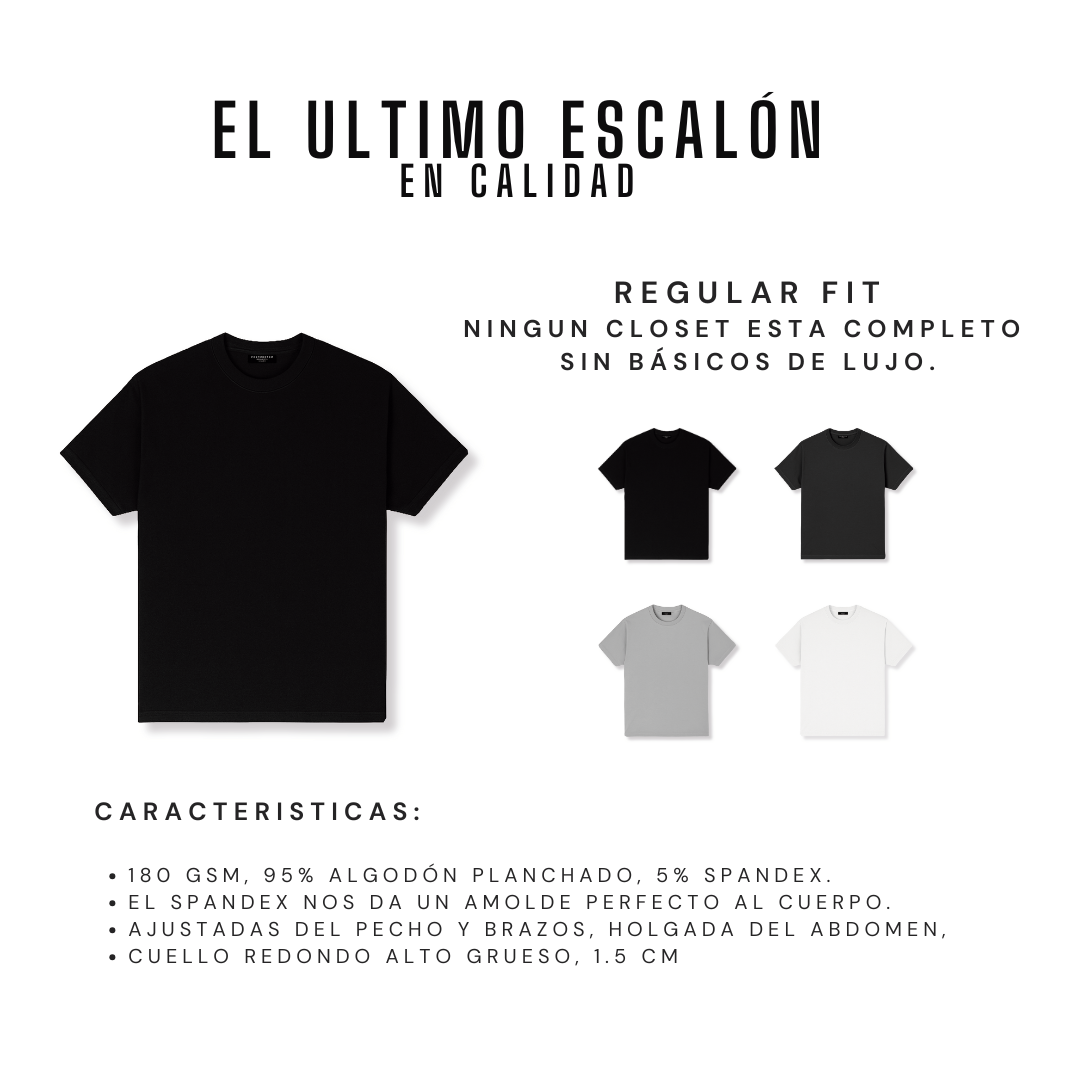 REGULAR - Basic