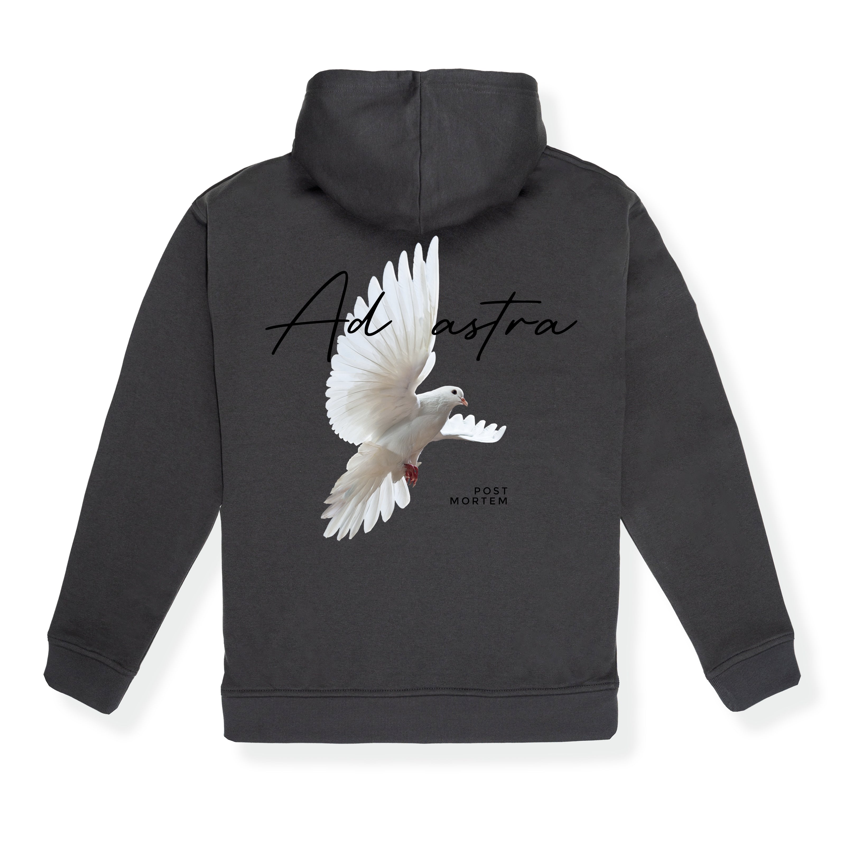 Hoodie Ad Astra