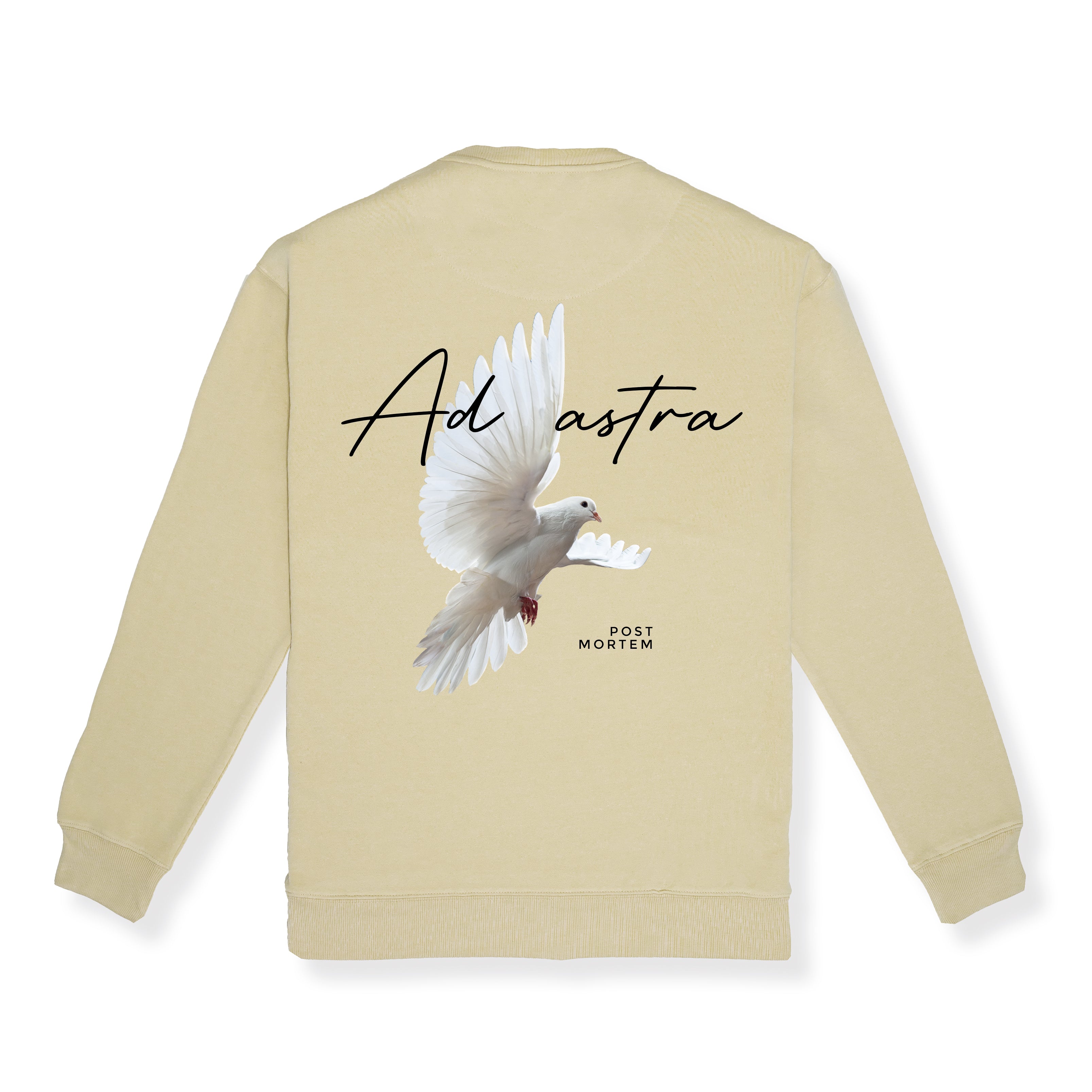 Pullover Ad Astra