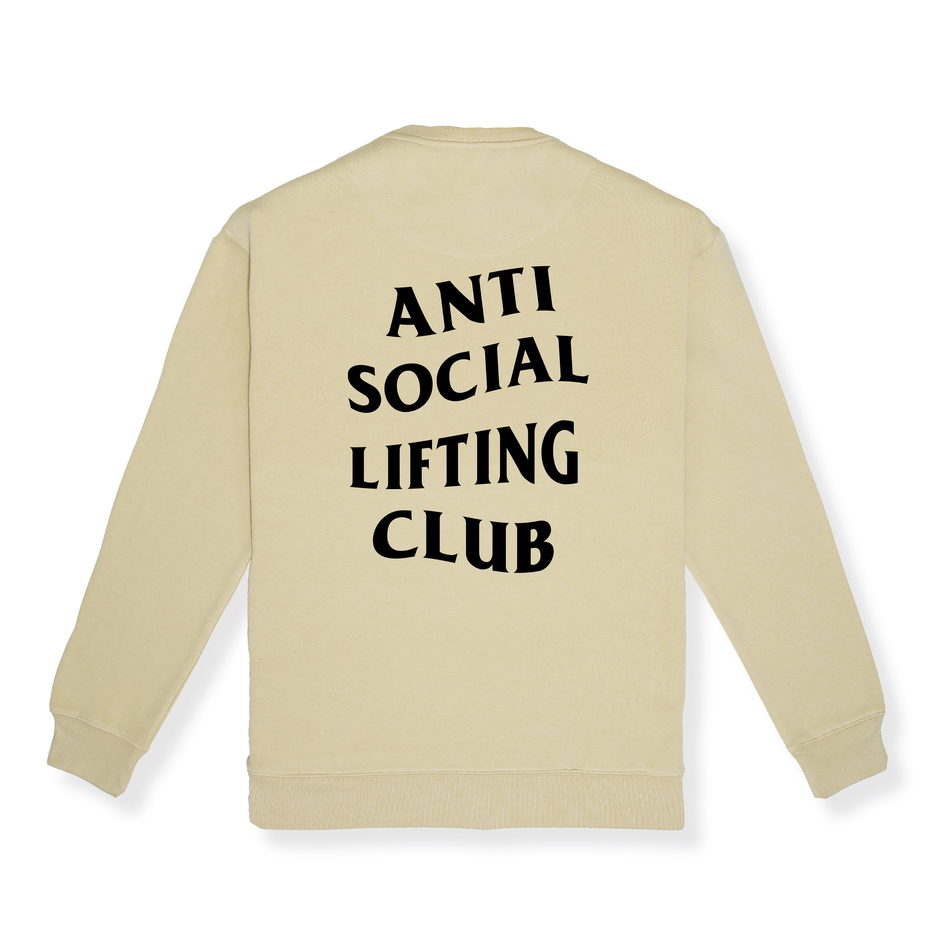 Pullover Anti Social