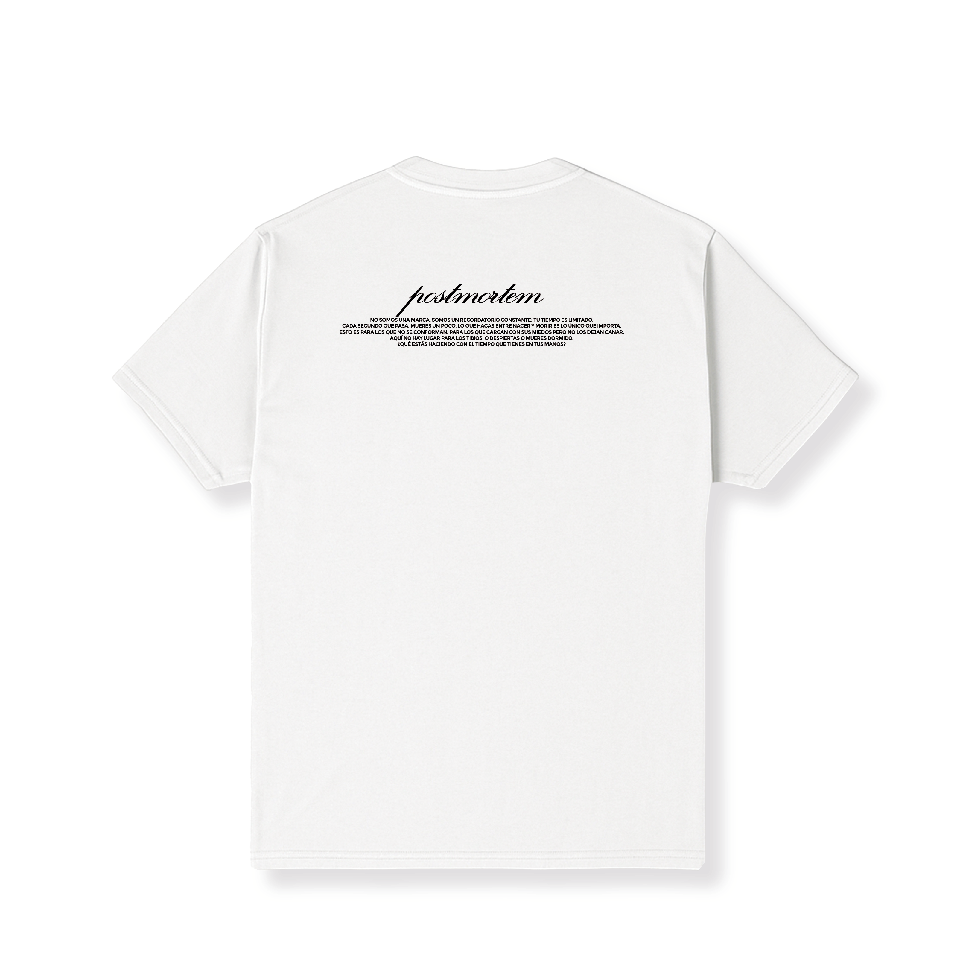 Statement - Regular