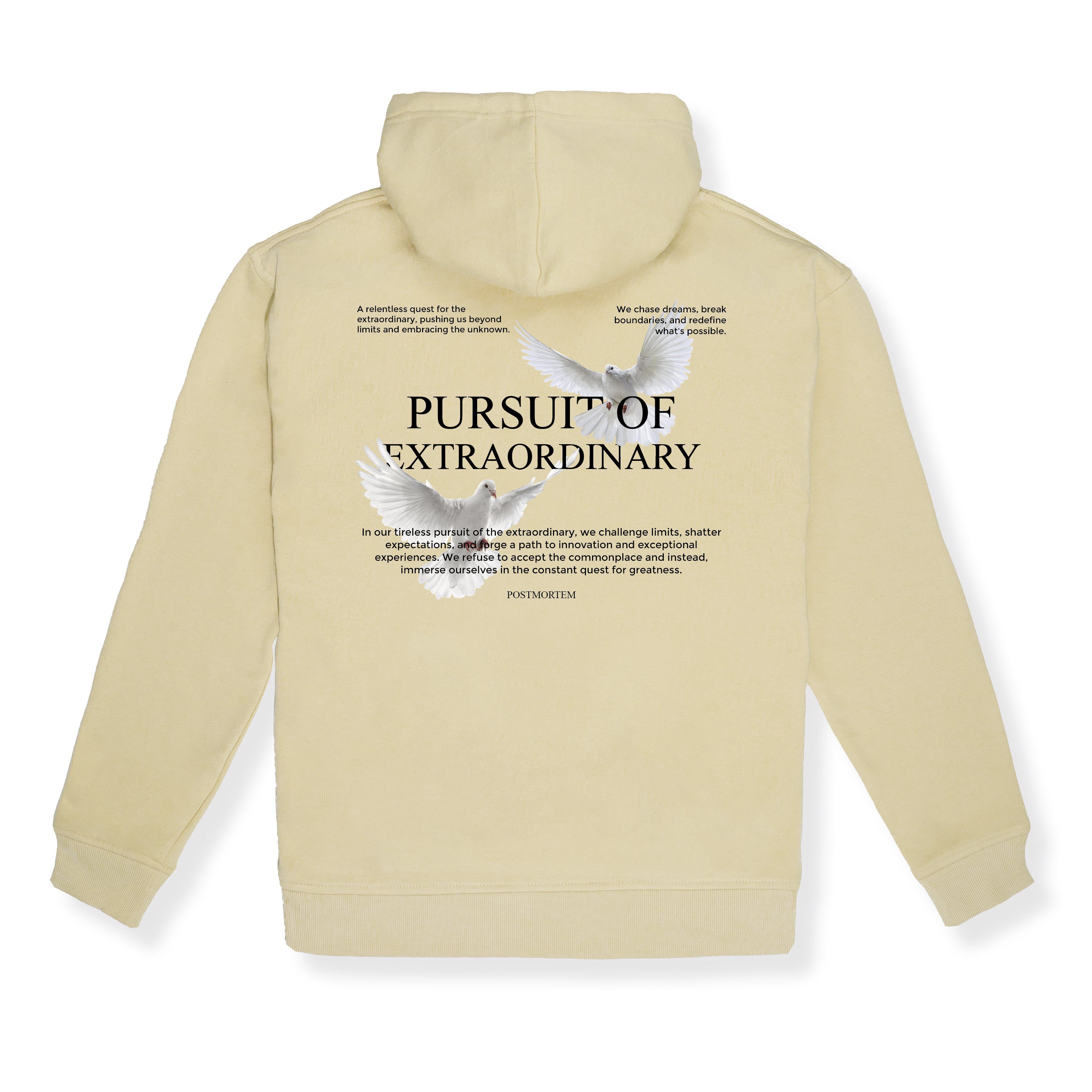 Hoodie Pursuit of Extraordinary