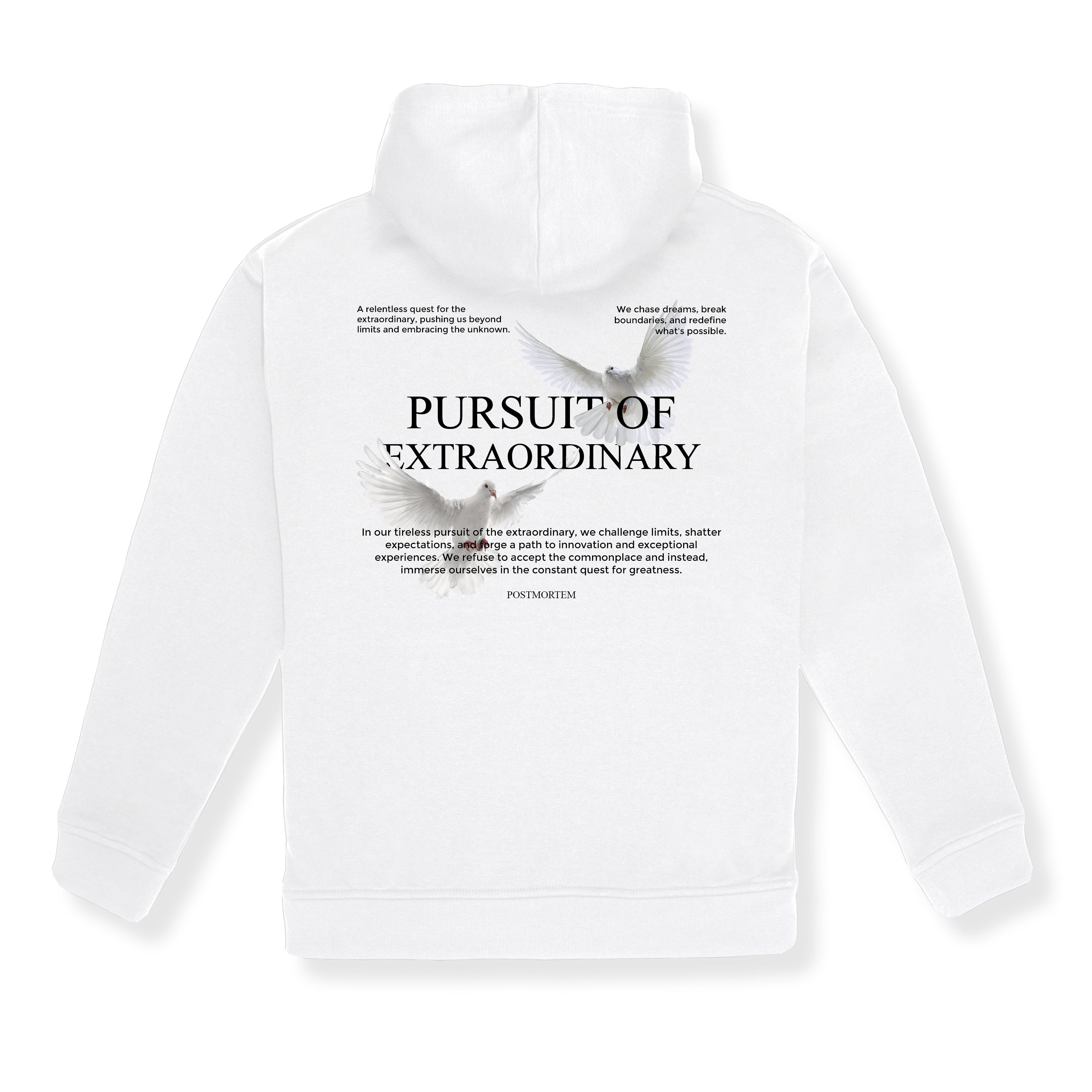 Hoodie Pursuit of Extraordinary