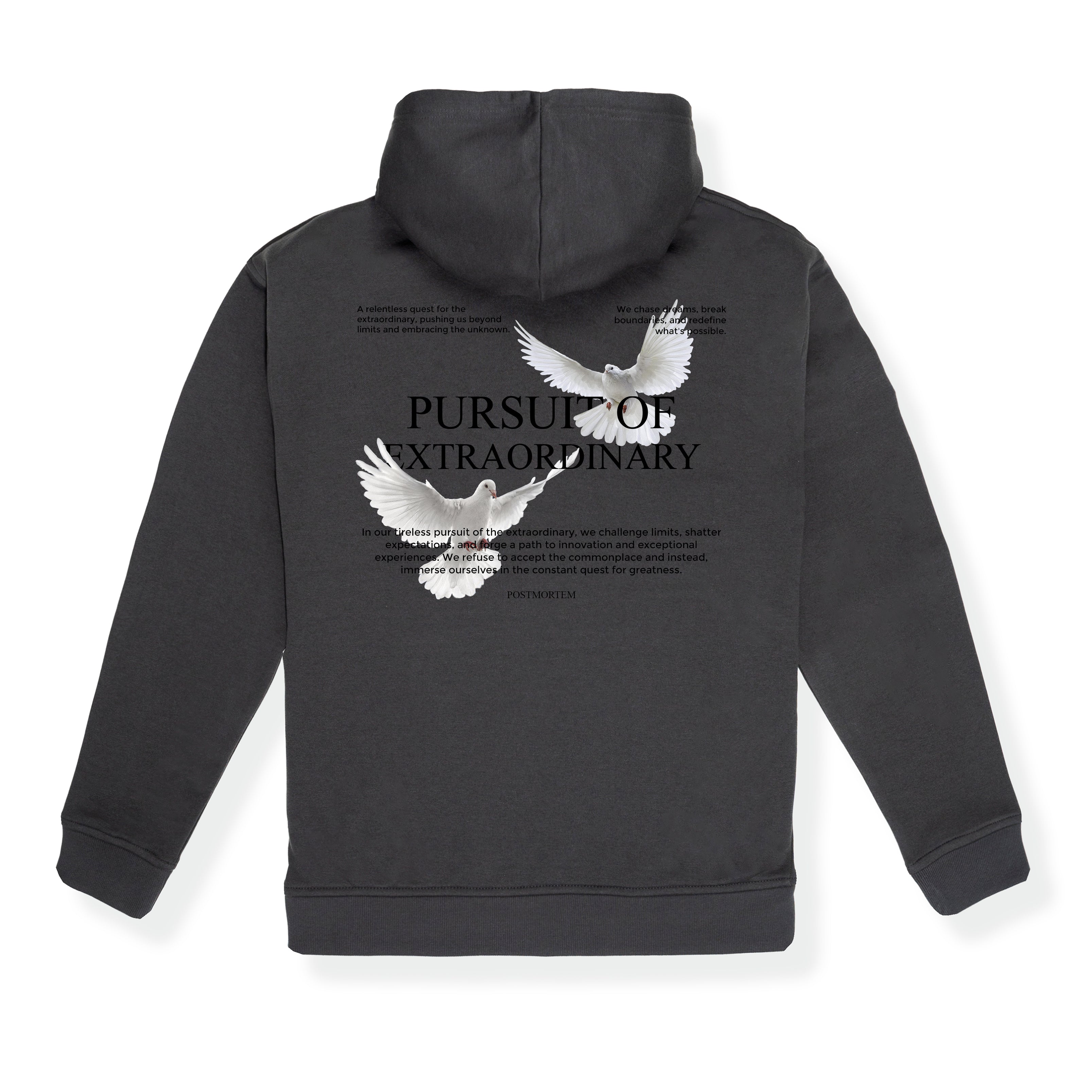 Hoodie Pursuit of Extraordinary