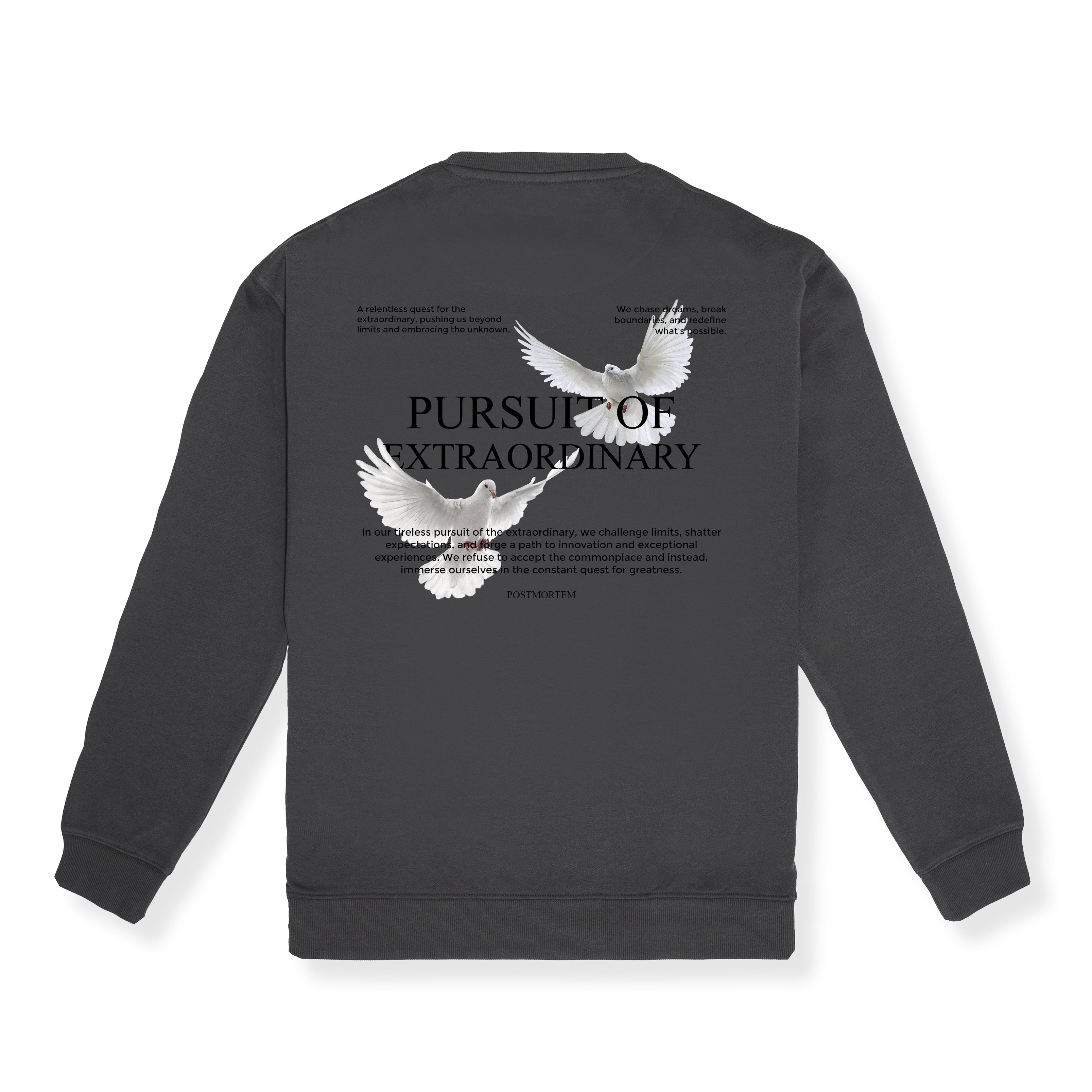 Pullover Pursuit of Extraordinary